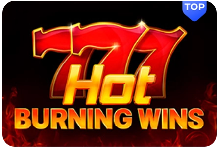 777 hot burning wings